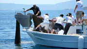 Bodrum denizlerinde 2 bin metrekarelik tehlike temizlendi