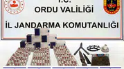 Ordu ve Samsun’u kapsayan uyuşturucu baskınında 7 kişi cezaevine gönderildi