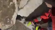 Yatağan parkında duvar arasına sıkışan kedi kurtarıldı