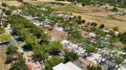 Adıyaman Tut ilçesinde dut bereketi başladı