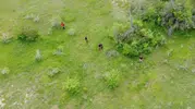 Muhtarın dronlu takibi kaçak kazıcıları kaçırdı
