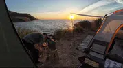 Mudanya'da kampa giren çakal kahvaltıyı kaptı