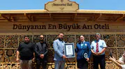 Adana'da arılar için devasa beş yıldızlı otel kuruldu