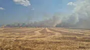 Tekirdağ'da alevler tarlaları ve yaşam alanlarını küle çevirdi