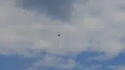 Serik ormanlarında yıldırım kaynaklı yangın söndürüldü