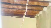 Hakkari’de toprak evde yılan korkusu