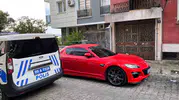Aydın’da kedi kurtarma operasyonunda dolandırıcı krizi