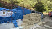 Bursa'da orman yangınına sebep olan şüpheli yakalandı