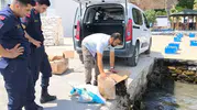 Söke yolunda yakalanan kaçak yengeçlere el konuldu
