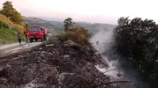 Gemlik'te makilik alanda korkutan yangın