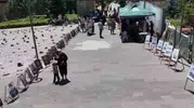 Çamlıdere’de Gazze için yardım seferberliği