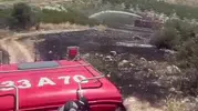Mersin Mut’ta altı dekar bahçe küle döndü
