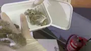 Sakarya’da uyuşturucu ofisi kuran şüphelilere operasyon