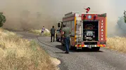 Diyarbakır Eğil’de hasat mevsimi kabusa döndü