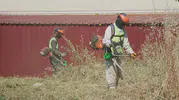 Çayırova sokaklarında yabani ot temizliği hız kazandı