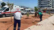 Efeler’de sarı lacivert heyecan başlıyor