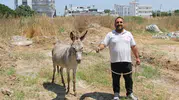 Adana sokaklarında sahipsiz gezen eşekler korumaya alındı