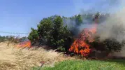 Çanakkale Ezine’de alevler tarım arazisini sardı