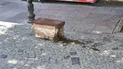 Eskişehir merkezinde arı sürüsü paniği yaşandı