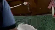 Gaziantep’te bir evin salonuna yılan girdi
