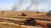 Viranşehir'de anız ateşi çiftçinin birikimini yuttu