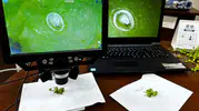 Manisa tarımında teknolojik takip dönemi başladı