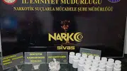 Sivas narkotik operasyonunda iki kişi cezaevine gönderildi