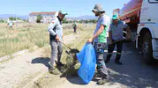 Nazilli parklarında bahar temizliği mesaisi başladı