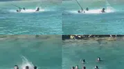 Mersin’de tatilcilerin gözü önünde denizde sopalı kavga