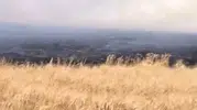 Mardin'de hasat zamanı büyük kayıp