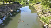 Manisa Kent Park’ın yeni misafirleri ilgi odağı oldu