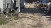 Silivri'de otluk alan yangınları iki farklı noktada hasara yol açtı