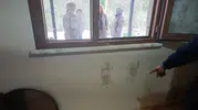 Giresun'da yerleşim yerlerine giren ayılar için vurma kararı çıktı