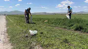 Hürmetçi Sazlığı için temizlik seferberliği başlatıldı