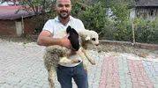 Hastaneden ahıra uzanan şefkat eli