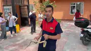 Zonguldak’ta bir sağlık ocağına yılan girdi