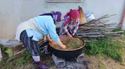 Giresun’da dut pekmezi sezonu açıldı