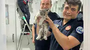 Odunpazarı’nda kedi operasyonu