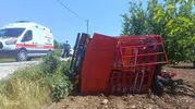 Malatya'da tavuk kamyonu şarampole uçtu