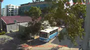 Osmaniye'de durakta bekleyen otobüsün üzerine ağaç devrildi