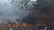 Hatay Hassa’da bahçelik alanda korkutan yangın