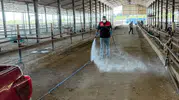 Havran'da hayvan pazarında bayram sonrası temizlik mesaisi