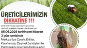 Kırklareli hububat üreticisini süne zararlısına karşı ilaçlama uyarısı