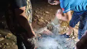 Didim sahillerinde kaçak avcılık operasyonu