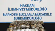 Hakkari polisinden zehir tacirlerine operasyon