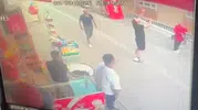 Küçükçekmece'de mucize kurtuluş Yavru kedi 8'inci kattan şemsiyeye düştü