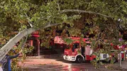 İzmit’te dev dal tramvay hattını kilitledi