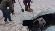 Erzurum'da buzullara düşen dana için nefes kesen kurtarma operasyonu