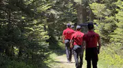 Bursa ormanlarına 4 ay boyunca giriş yasaklandı