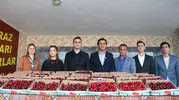 Selendi'de kiraz üreticileri en iyi mahsul için yarıştı
